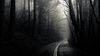 dark_forest_mist_roads.jpg