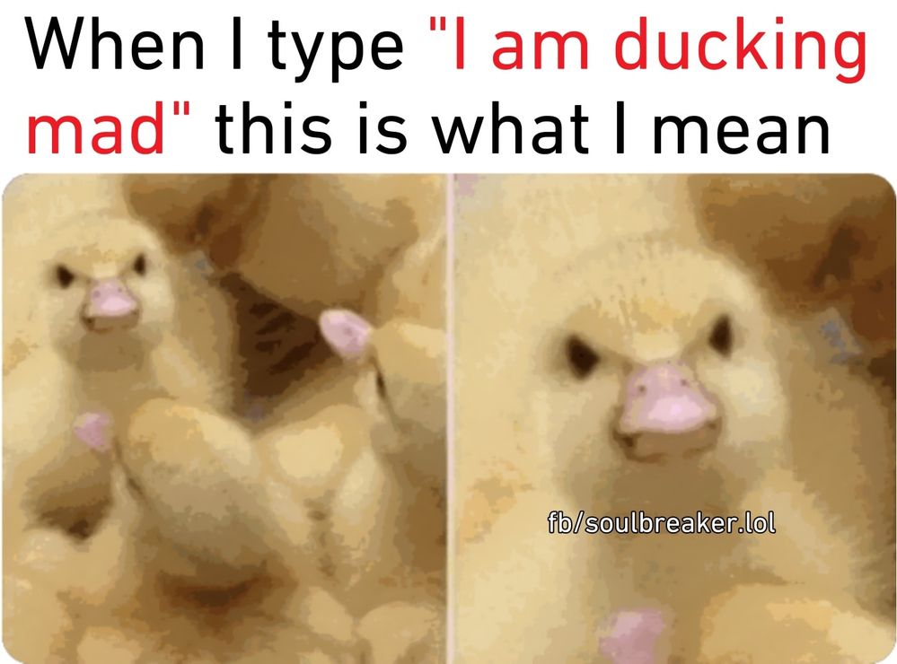 271732449_134310809049676_3221415051617497774_n.jpg